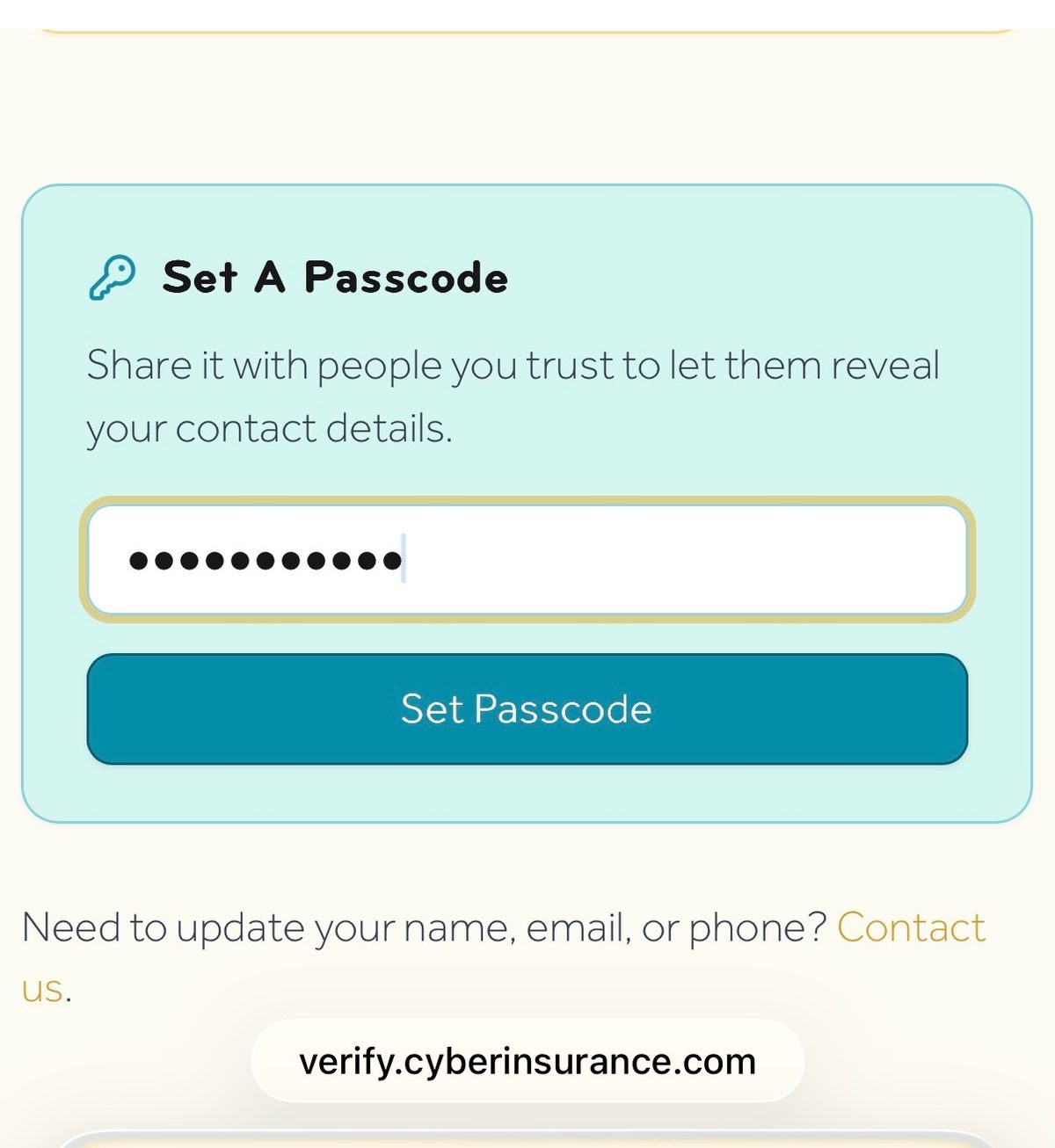 Screenshot: Set passcode